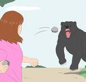 Survive a Bear Attack