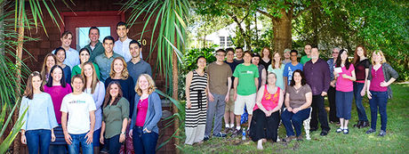 Group shot of the wikiHow staff on the left, accompanied by a group shot of volunteers from the wikiHow community on the right.